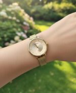 Premium Duke Nicle Watch for Women - Image 3